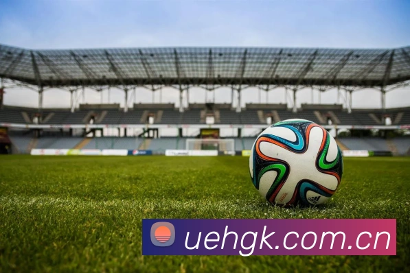 开云官网平台生态图