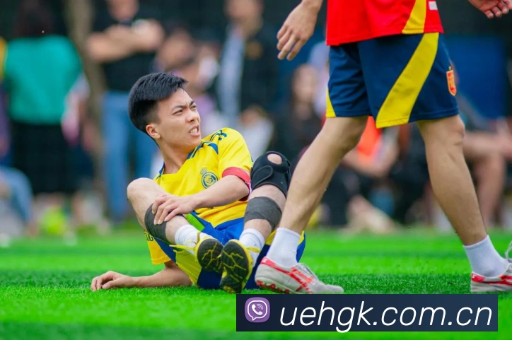 开云官网APP 封面图